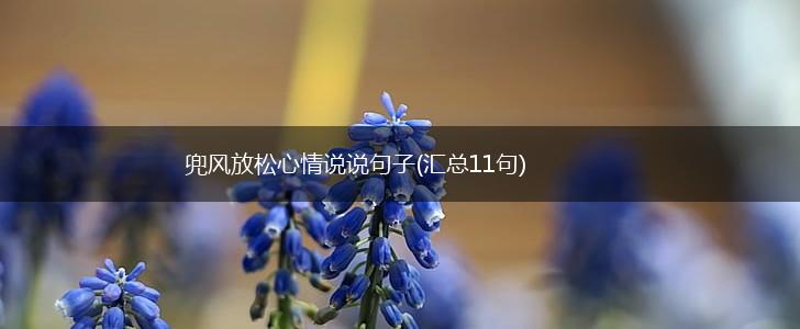 兜风放松心情说说句子(汇总11句),第1张