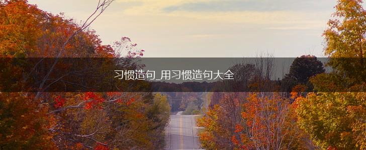 习惯造句_用习惯造句大全,第1张