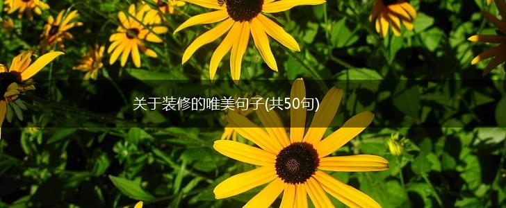 关于装修的唯美句子(共50句),第1张