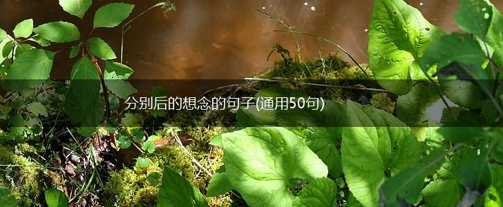 分别后的想念的句子(通用50句),第1张