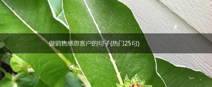 做销售感恩客户的句子(热门25句),第1张