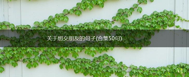 关于想交朋友的句子(合集50句),第1张