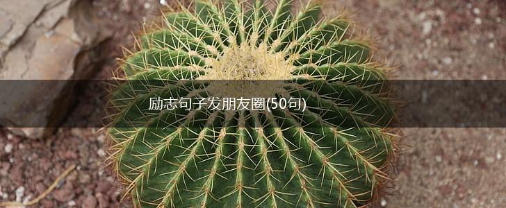 励志句子发朋友圈(50句),第1张