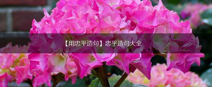 【用忠平造句】忠平造句大全,第1张