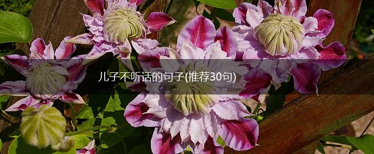 儿子不听话的句子(推荐30句),第1张