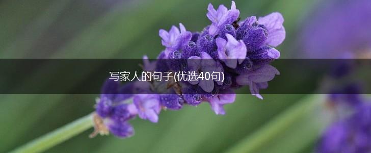 写家人的句子(优选40句),第1张