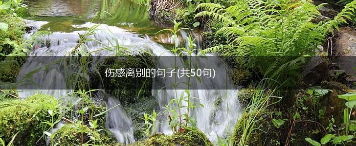 伤感离别的句子(共50句),第1张
