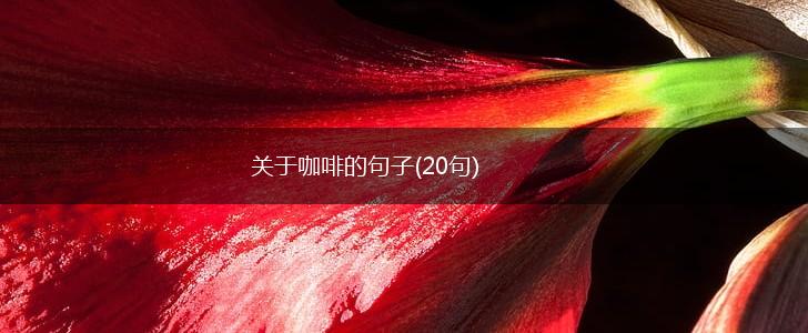 关于咖啡的句子(20句),第1张