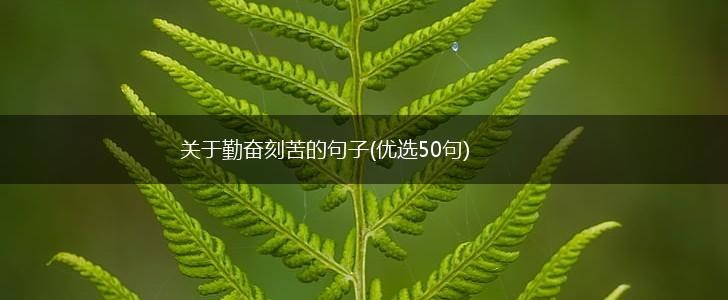 关于勤奋刻苦的句子(优选50句),第1张