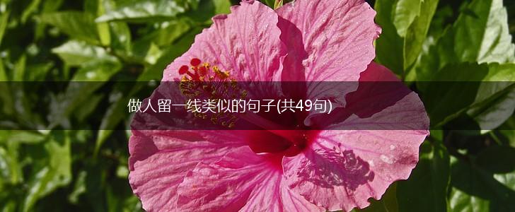 做人留一线类似的句子(共49句),第1张