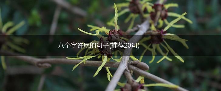 八个字许愿的句子(推荐20句),第1张