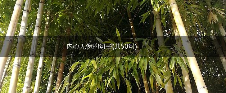 内心无愧的句子(共50句),第1张