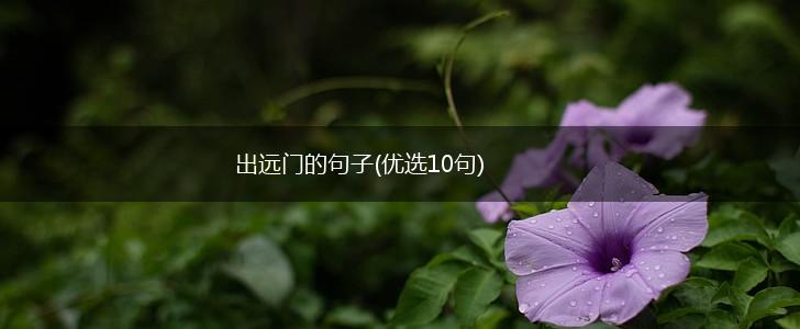 出远门的句子(优选10句),第1张