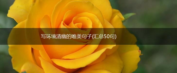 写环境清幽的唯美句子(汇总50句),第1张