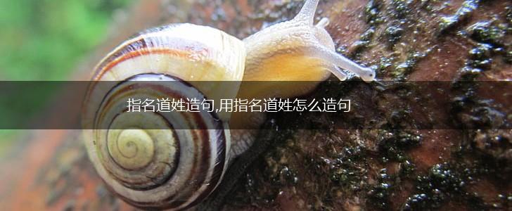 指名道姓造句,用指名道姓怎么造句,第1张