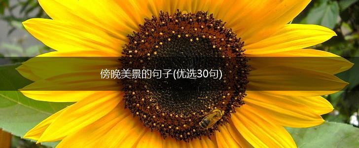 傍晚美景的句子(优选30句),第1张