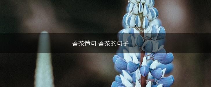香茶造句 香茶的句子,第1张