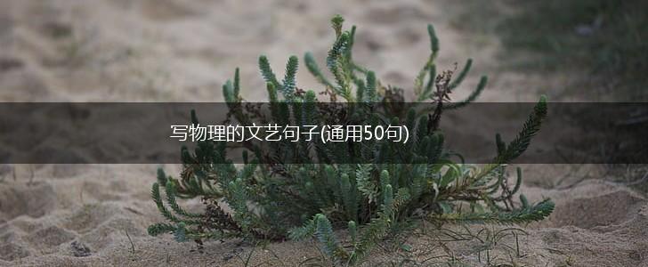 写物理的文艺句子(通用50句),第1张