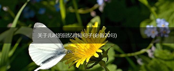 关于儿时的回忆得短句子(必备20句),第1张