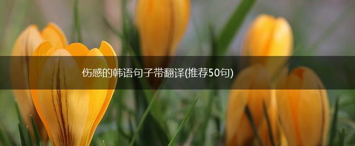 伤感的韩语句子带翻译(推荐50句),第1张