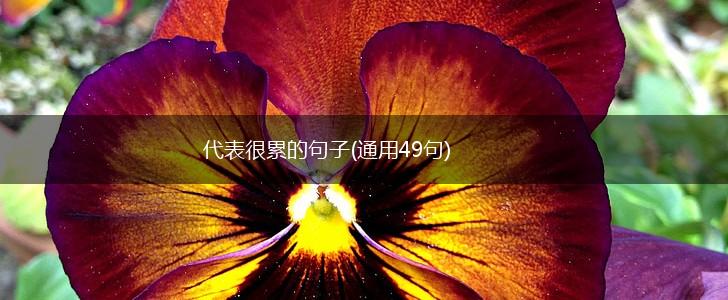 代表很累的句子(通用49句),第1张
