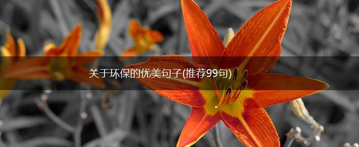 关于环保的优美句子(推荐99句),第1张