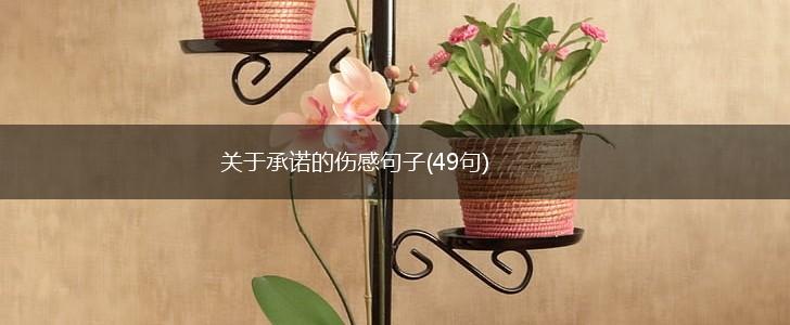 关于承诺的伤感句子(49句),第1张