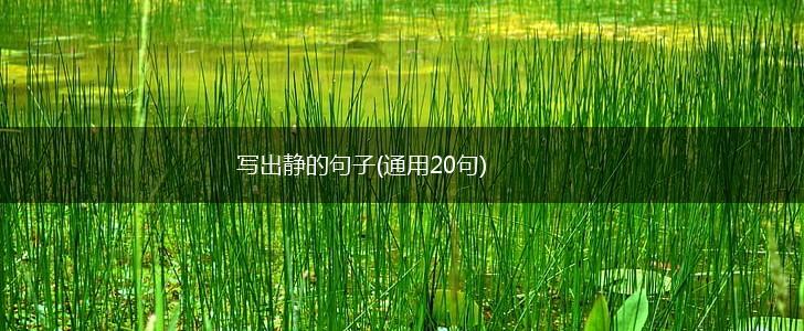 写出静的句子(通用20句),第1张