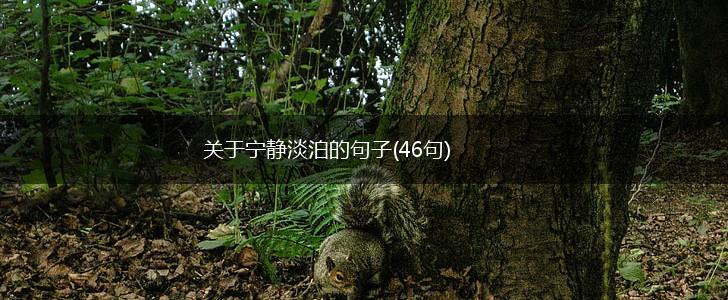 关于宁静淡泊的句子(46句),第1张