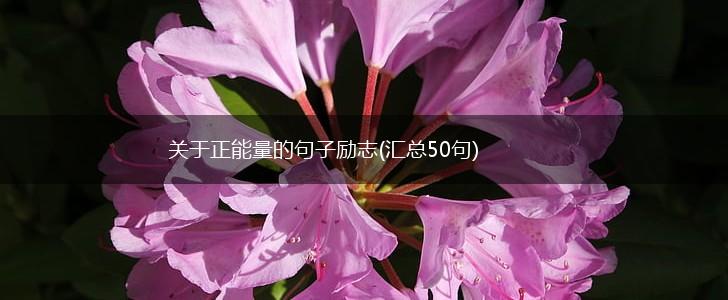 关于正能量的句子励志(汇总50句),第1张