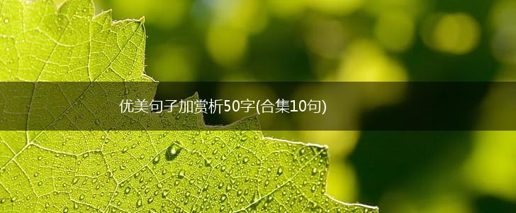 优美句子加赏析50字(合集10句),第1张