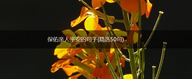 保佑亲人平安的句子(精选50句),第1张