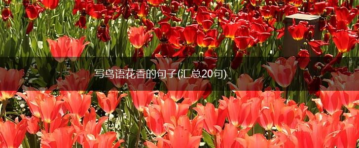 写鸟语花香的句子(汇总20句),第1张