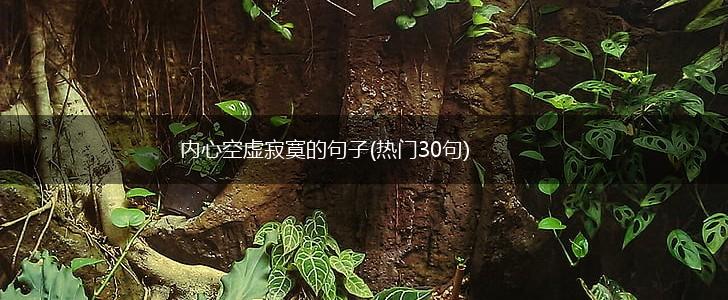 内心空虚寂寞的句子(热门30句),第1张