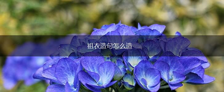 祖衣造句怎么造,第1张