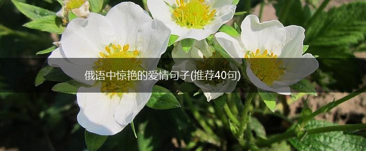 俄语中惊艳的爱情句子(推荐40句),第1张