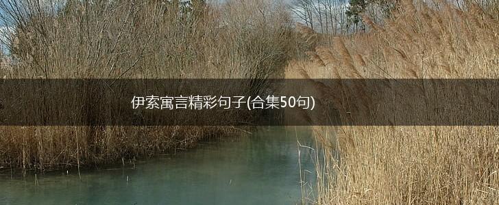 伊索寓言精彩句子(合集50句),第1张