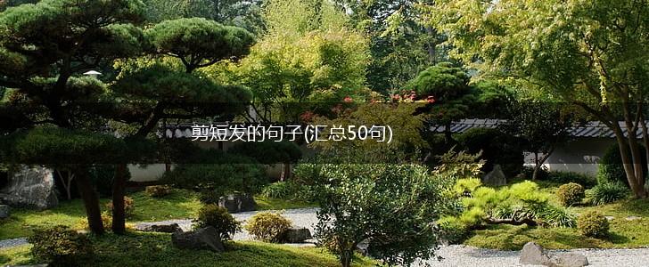 剪短发的句子(汇总50句),第1张