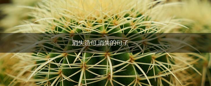 消失造句,消失的句子,第1张