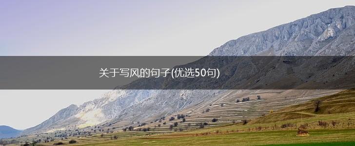 关于写风的句子(优选50句),第1张