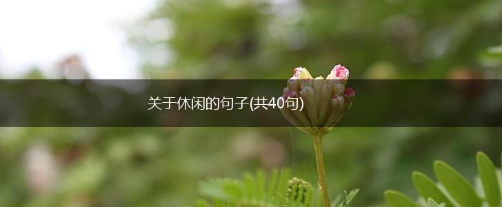 关于休闲的句子(共40句),第1张