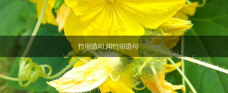 竹帘造句,用竹帘造句,第1张