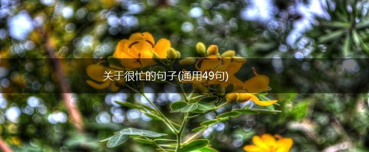 关于很忙的句子(通用49句),第1张