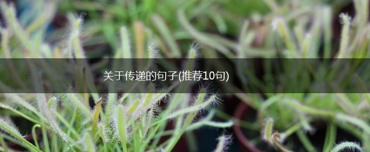 关于传递的句子(推荐10句),第1张