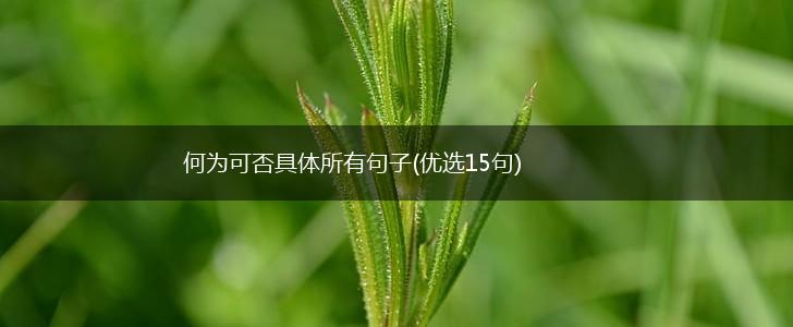 何为可否具体所有句子(优选15句),第1张