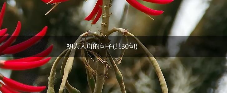 初为人母的句子(共30句),第1张