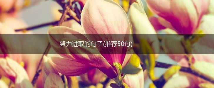 努力进取的句子(推荐50句),第1张