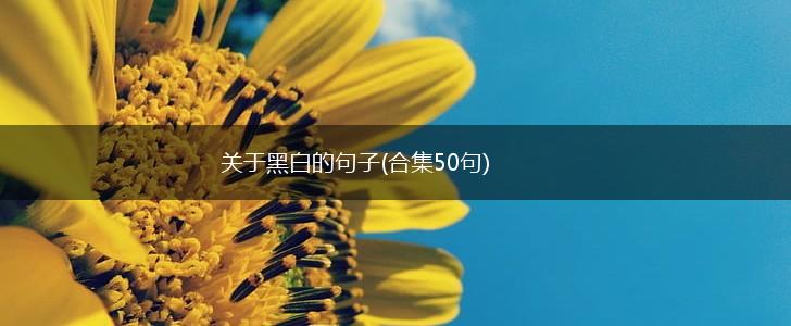 关于黑白的句子(合集50句),第1张
