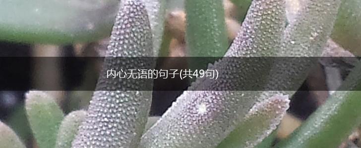 内心无语的句子(共49句),第1张
