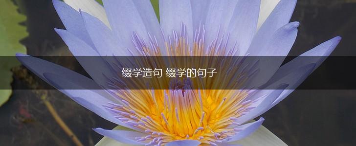 缀学造句 缀学的句子,第1张